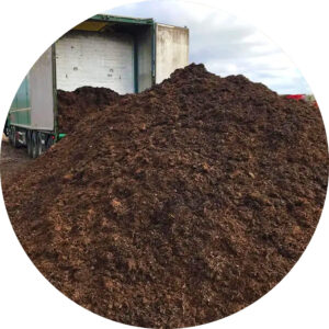 Luksus champignonmuld